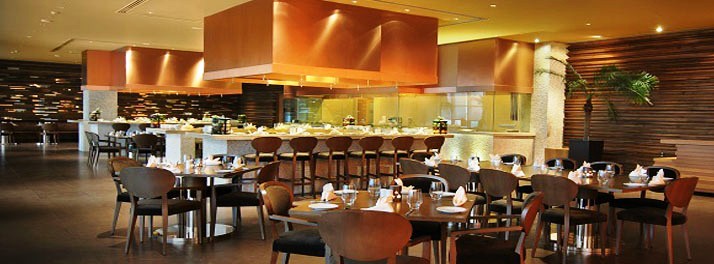 427/Radisson Blu Hotel Paschim Vihar - New Delhi 08.jpg